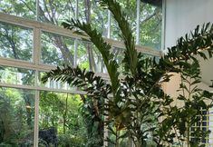 Common Space 4 Cochet de Nimman