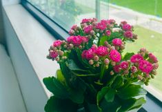 침실 6 Happy House Premier Apartment