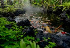 其他 6 E Sanctuary Resort Ubud