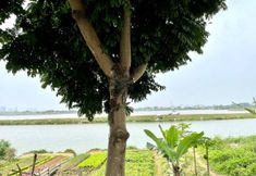 Nearby View and Attractions 6 Lee Homestay Hanoi