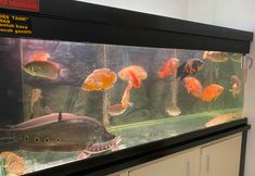 其他 6 MOZA HOUSE Wonosobo