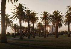 近くの景色と観光スポット 3 MAC St Kilda Blessington St by Melbourne Apartment Collection