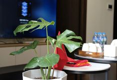Common Space 4 A Quiet Stay - Vinhomes Ocean Park