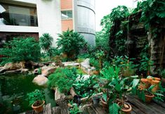 Lobby 7 iCheck inn Thapra