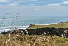 Nearby View and Attractions 6 Castaways Resort