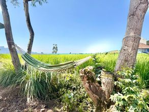 外觀 4 Stay and Farm Hostel