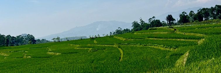 大廳 Stay and Farm Hostel