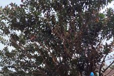 Sảnh chờ Dinasty Living Villa