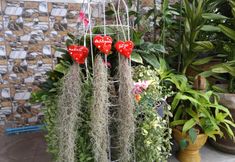 로비 4 Thitikorn Grandview