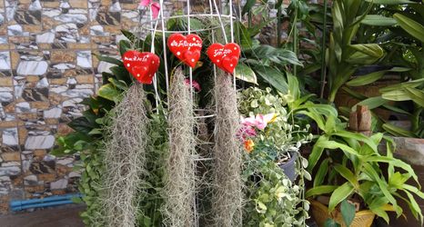 大廳 2 Thitikorn Grandview