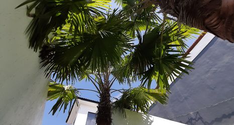 Exterior 2 Escotel Jalak Guest House