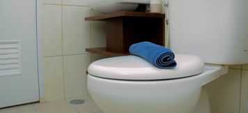 In-room Bathroom 5 3BR Comfy and Luxury Springlake Apartment By Travelio
