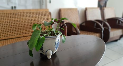 Lobi 2 nDaleme mBahkung Homestay