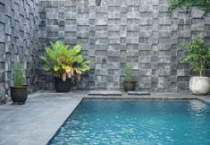 Swimming Pool 4 Warm and Cozy Tamu Ibu Guest House with Pool