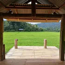 Exterior / Building 1 Chinopuu Hut Homestay Muangkong, Chiang Dao District Hotels