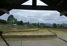 Điểm tham quan lân cận 5 Chinopuu Hut Homestay Muangkong