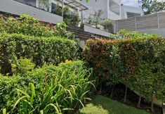 Exterior 7 The Jungle Villas