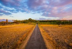 주변 전망 및 관광 명소 7 Nalika Beach Resort & Restaurant -Adults Only