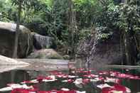 Swimming Pool Gibbon Retreat Bentong