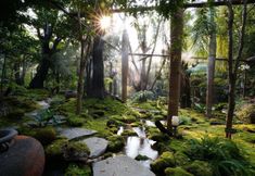 Common Space 7 Tree Scape Retreat Resort