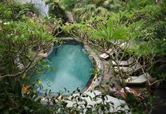 Swimming Pool 6 Lumbung Sari Ubud Hotel