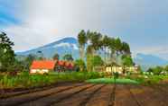 วิวและสถานที่ท่องเที่ยวใกล้เคียง 3 Rinjani Bungalow