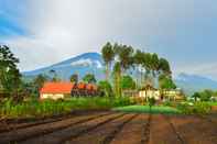 Atraksi di Area Sekitar Rinjani Bungalow