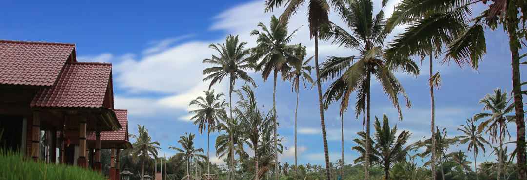 Lobi Hidden Sleep Bali