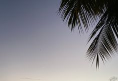 Nearby View and Attractions 2 Cu Lao Cham Cong Man Homestay