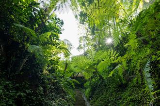 外觀 4 Pramana Giri Kusuma