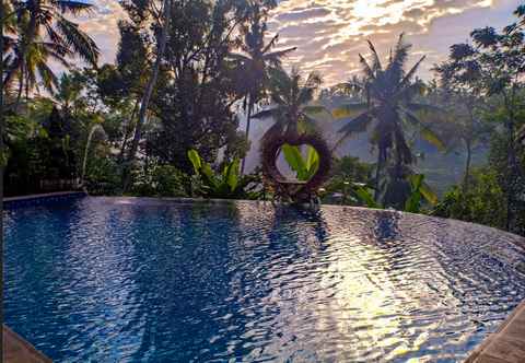 Swimming Pool Made Punia's Jungle