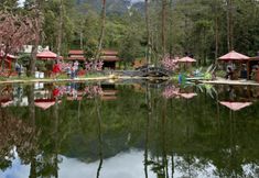 엔터테인먼트 시설 3 Sakura Hills