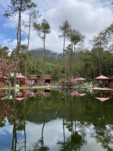 엔터테인먼트 시설 4 Sakura Hills