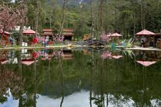 엔터테인먼트 시설 Sakura Hills