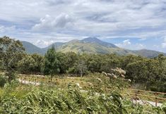 엔터테인먼트 시설 5 Sakura Hills