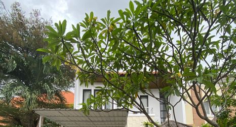 Exterior 2 The White Private Pool Villa