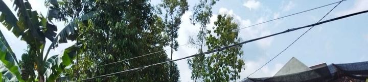 Exterior 4 Homestay Punokawan Borobudur