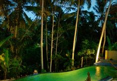 Swimming Pool 3 Dupa Ubud Villa