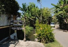 Exterior 2 Banana Homestay Banyuwangi