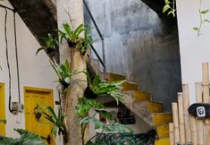 Common Space 3 Banana Homestay Banyuwangi