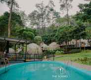 Swimming Pool 3 The Soemo Hills Pacet