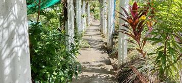 Exterior 3 Isla Virginia Fun-talan Baler