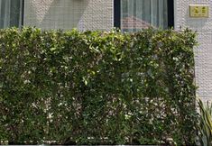 Exterior 3 M Village Living Tran Nao