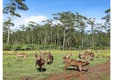 Fitness Center 6 Camping Rancaupas by Jo Adventure