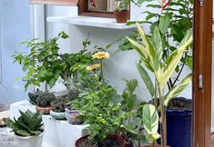 외관 4 Pimira Homestay Quy Nhon