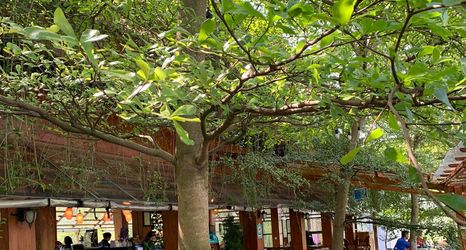 ロビー 2 Nk Resort