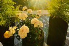 바, 카페, 라운지 Shin Village Hotel