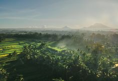 주변 전망 및 관광 명소 3 Kappa Senses Ubud