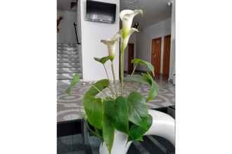 Lobby Orchid Pasific Hotel