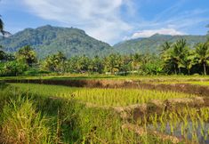 Nearby View and Attractions 3 Sitinggil Muncul Private Glamping 8 Pax (Max 16 Pax with Additional Extrabed)